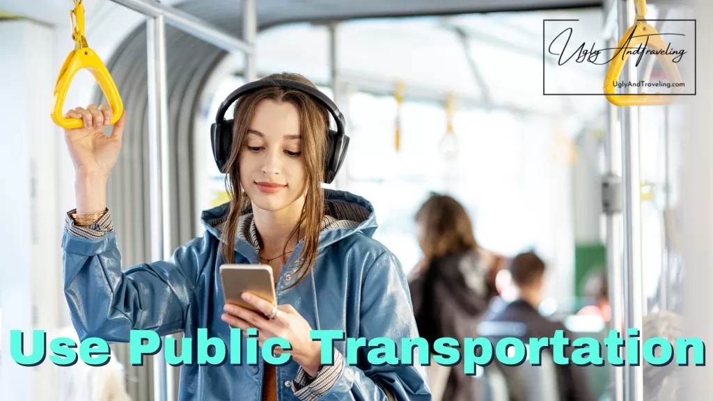 Use Public Transportation
