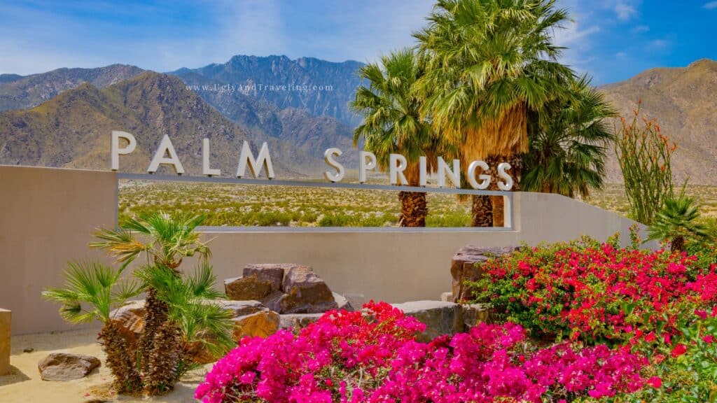 Bright palm trees and vibrant pink flowers at the Palm Springs entrance with mountain backdrop.